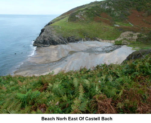 A small beach just north east of Castell Bach