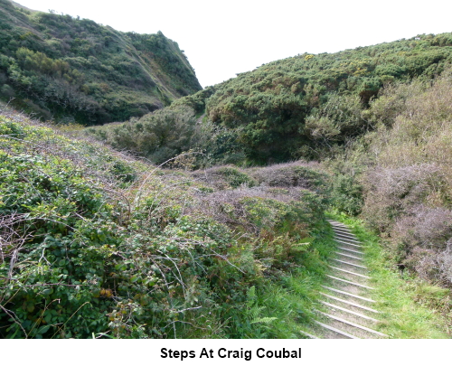 Steps at Craig Coubal.