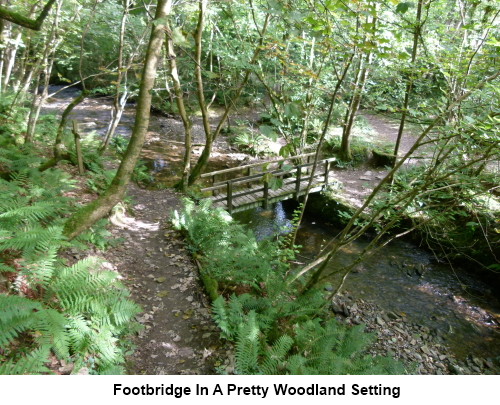 Footbridge in a pretty woodland setting.