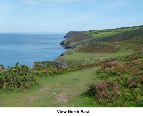 View north east from the coastal footpath.