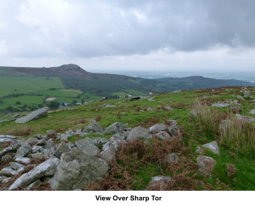 View over Sharp Tor