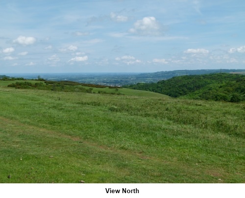 View north from Cleeve Hill Common