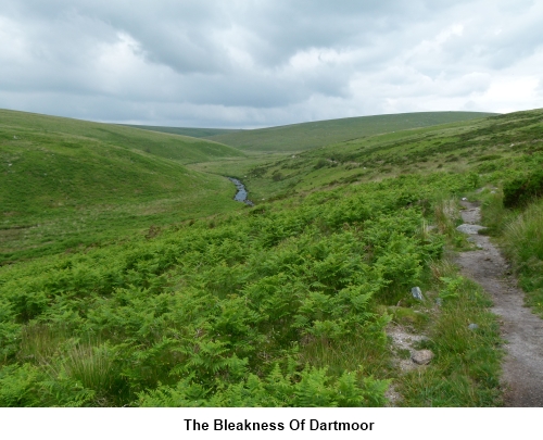 The bleakness of Dartmoor