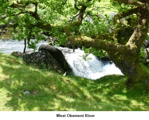 West Okement river