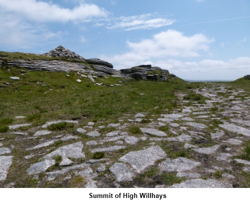 High Willhays - Summit