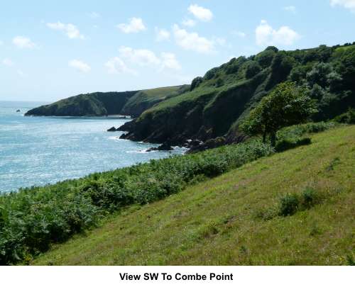 Combe Point