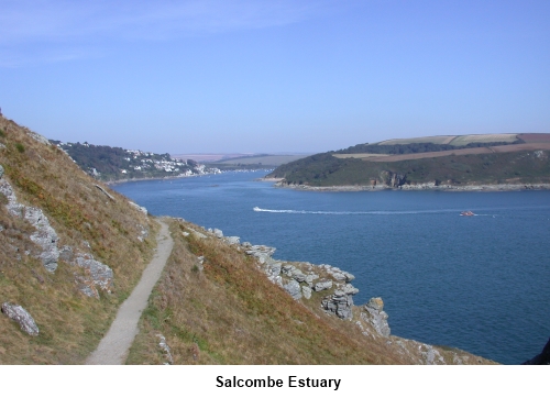 Salcombe Estuary