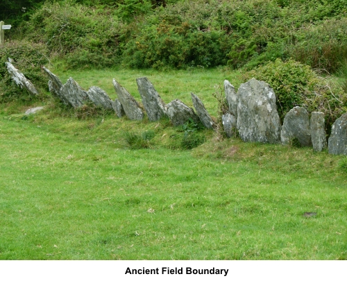 Ancient field boundary
