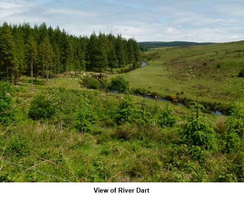 View of river dart