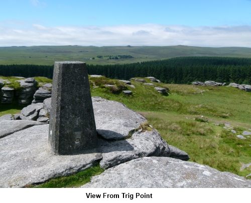 View from Bellever Tor Trig point