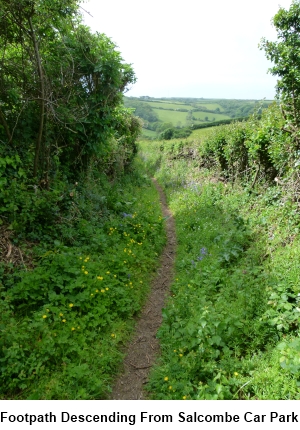 The footpath descending from the car park at Salcombe.