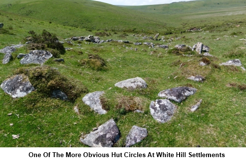 White Hill Settlement hut circle