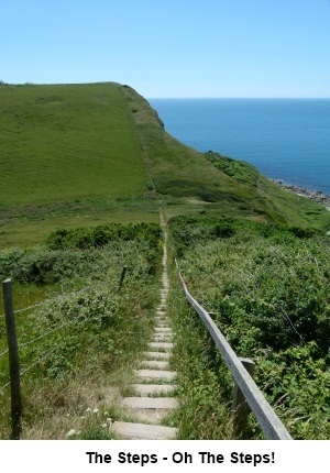 Steep steps on the way to St. Alban's Head