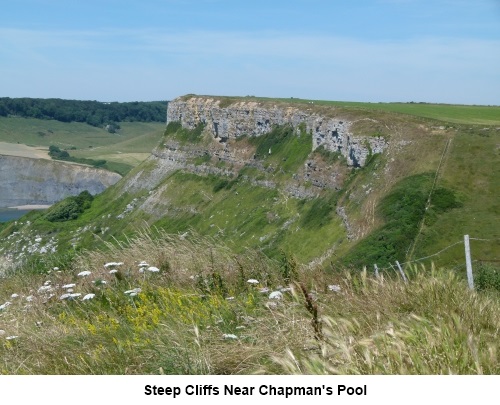 Steep cliffs near Chapman's Pool