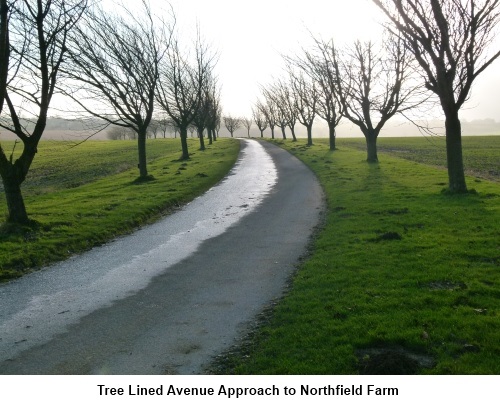 Treelines approach to Northfield Farm