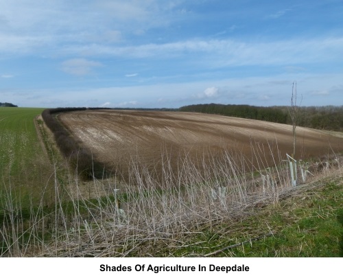 Shades of agriculture in Deepdale