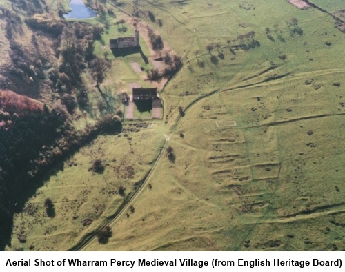 aerial picture of Wharram Percy medieval village
