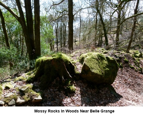Mossy rocks in the woods near Belle Grange