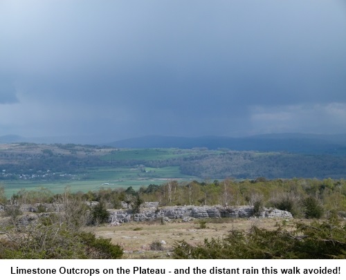 Limestone outcrops on Whitbarrow Plateau