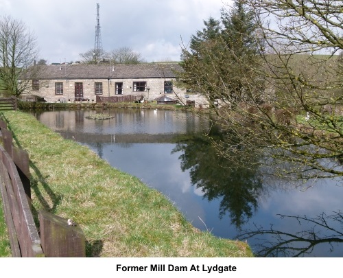 Former mill dam at Lydgate
