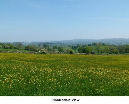 Ribblesdale view