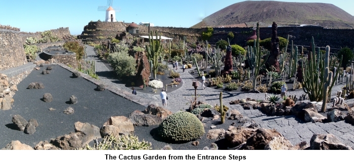 Cactus garden from entrance steps