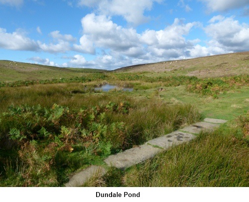 Dundale Pond