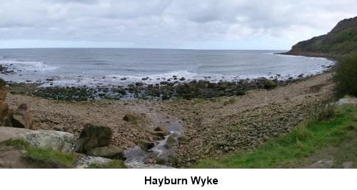 Hayburn Wyke.