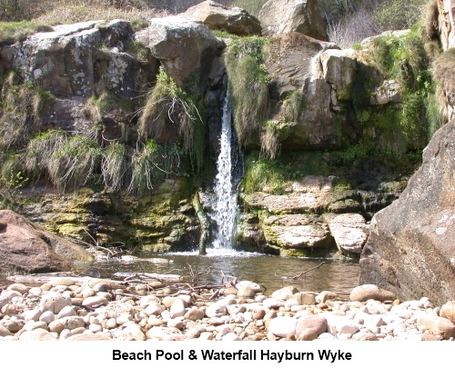 Beach pool and waterfall at Hayburn Wyke