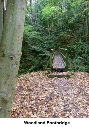 A footbridge in the woodland.