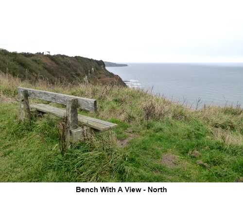 Bench with a view north.