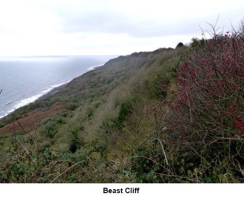 Beast Cliff.