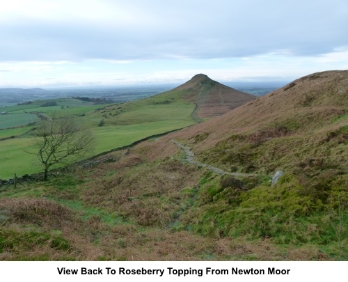 Roseberry Topping from Newton Moor