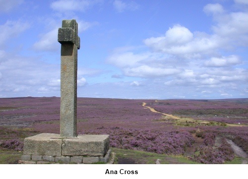 Ana Cross