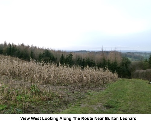 View west near Burton Leonard