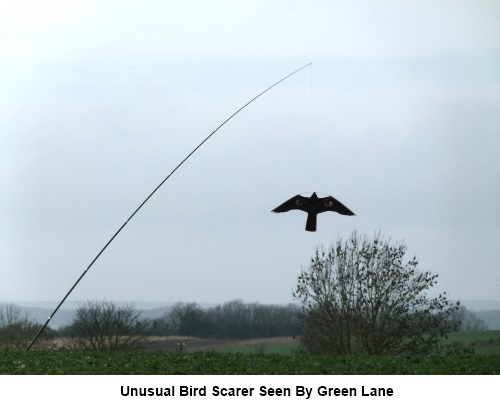 An unusual bird scarer seen next to Green Lane