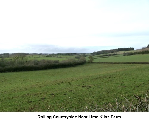 Rolling countryside near Lime Kilns Farm