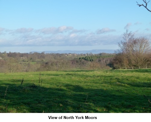 View of NY Moors