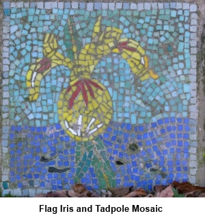 Flag Iris and Tadpole Mosaic