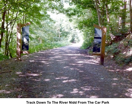 Track down to the River Nidd from the car park