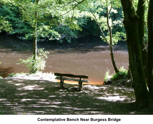 Bench near Burgess Bridge