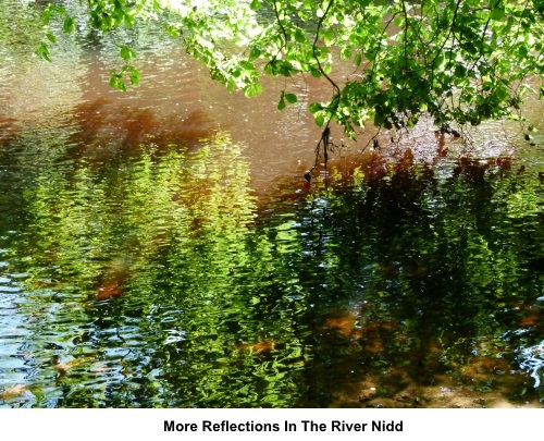 More reflections in the River Nidd