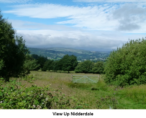 A view up Nidderdale.