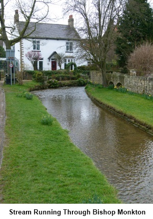 Village stream at Bishop Monkton