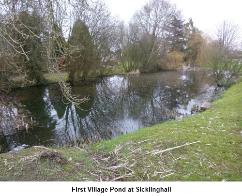 Sicklinghall village pond