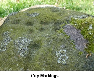Cup Markings