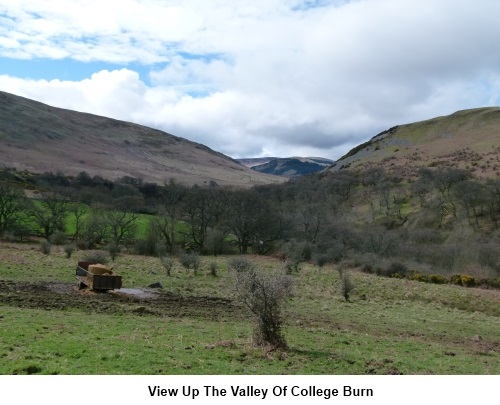 View up the valley of College Burn