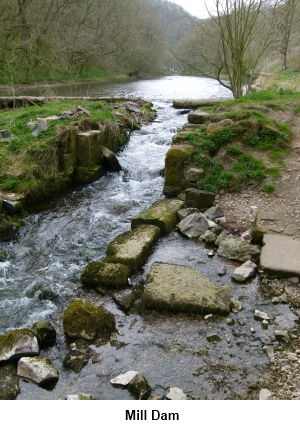 Mill dam