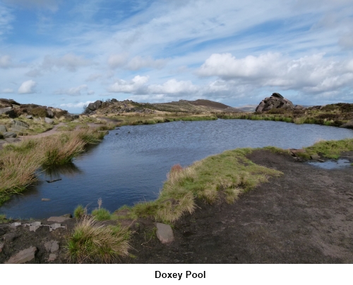 Doxey Pool