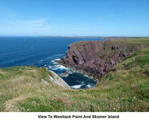 View to Wooltack Point and Skomer Island